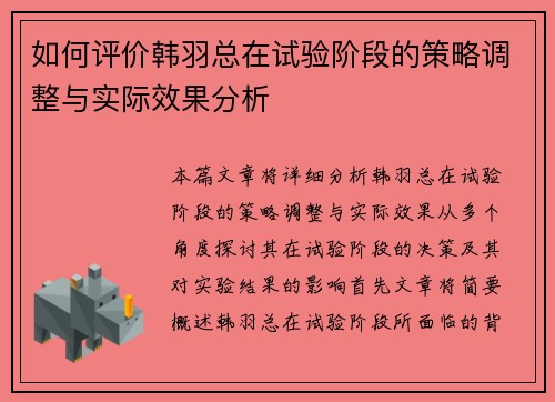 如何评价韩羽总在试验阶段的策略调整与实际效果分析