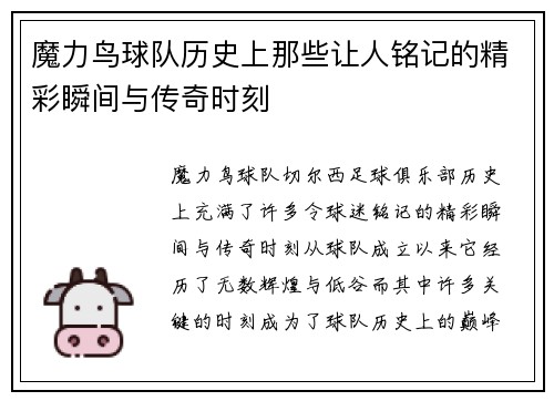 魔力鸟球队历史上那些让人铭记的精彩瞬间与传奇时刻