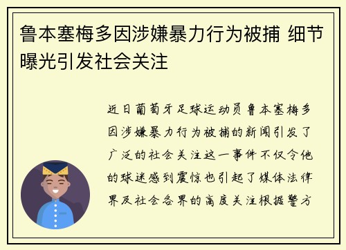 鲁本塞梅多因涉嫌暴力行为被捕 细节曝光引发社会关注
