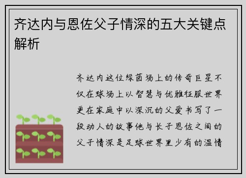 齐达内与恩佐父子情深的五大关键点解析