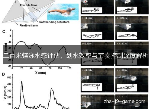 二百米蝶泳水感评估，划水效率与节奏控制深度解析